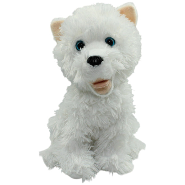 Hübscher West Highland Terrier, sitzend
