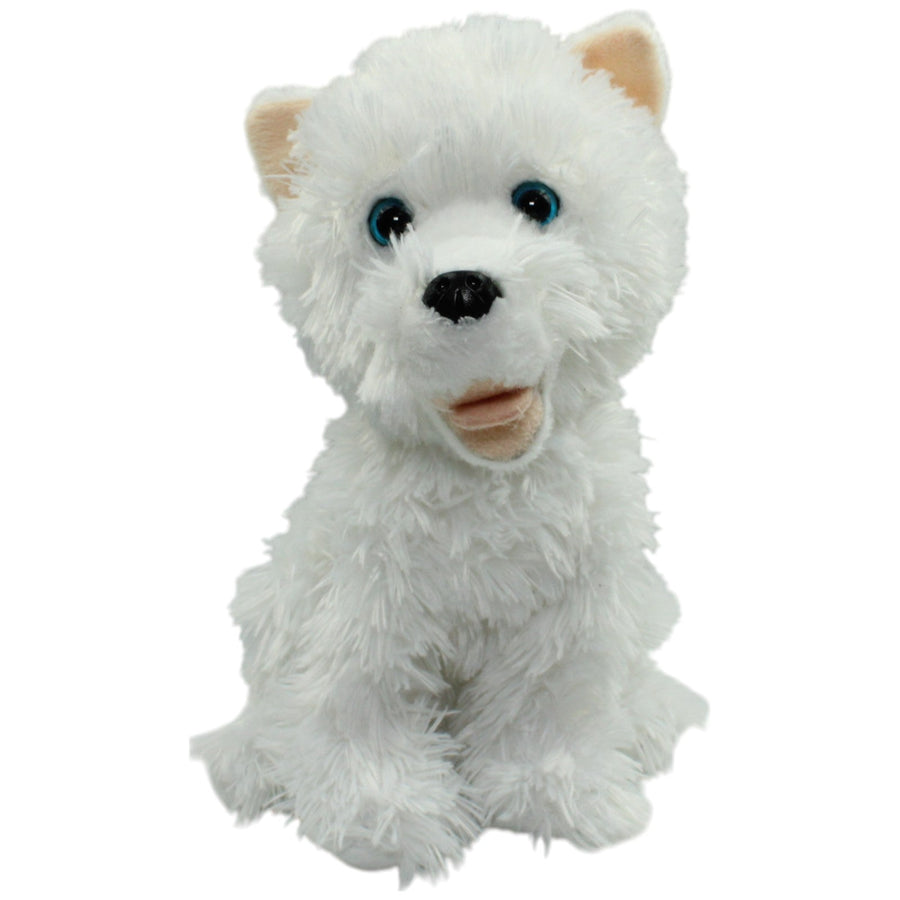 Hübscher West Highland Terrier, sitzend