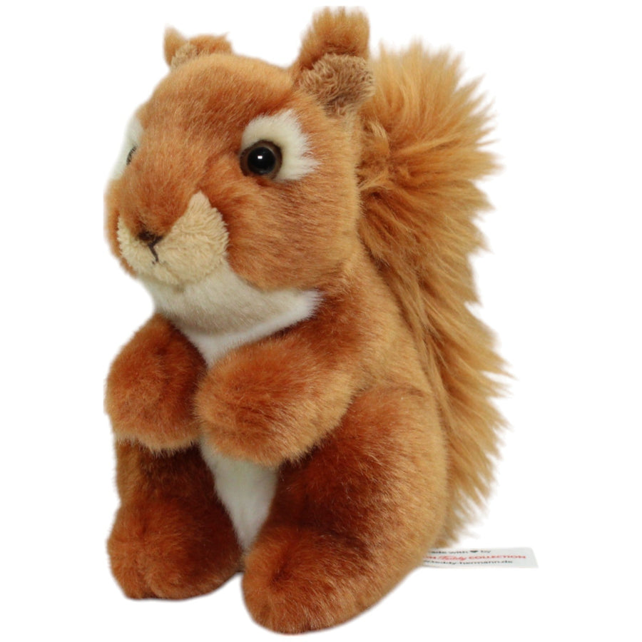 Eichhörnchen