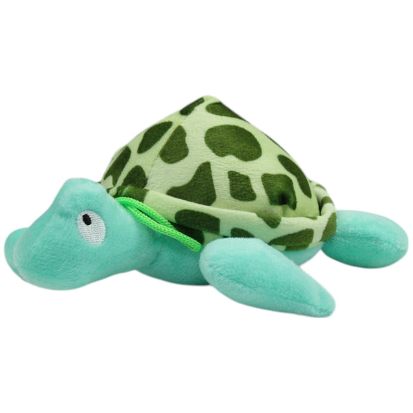 Weiche Schildkröte