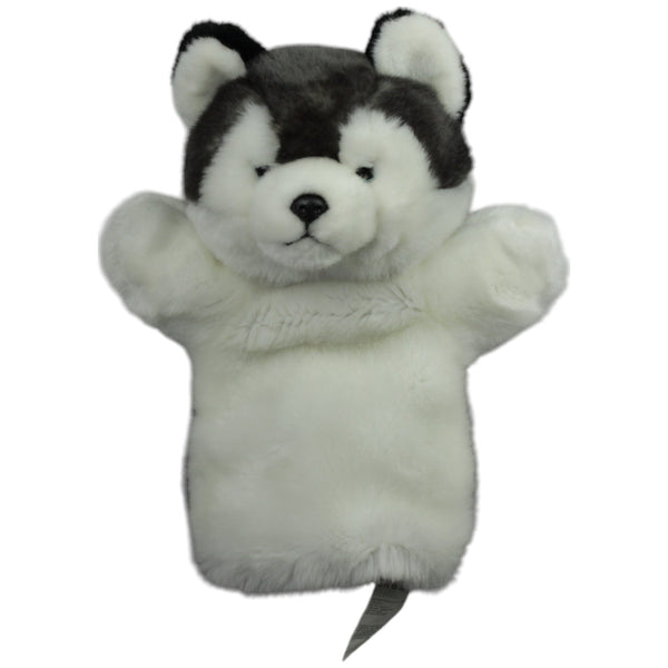 Süßer Husky