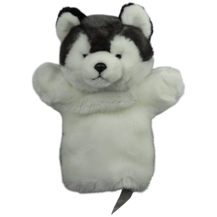 Süßer Husky