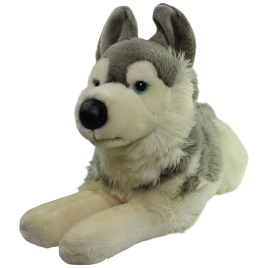 XL Husky, liegend