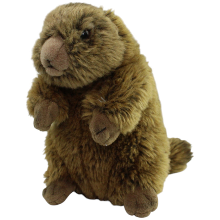 Murmeltier