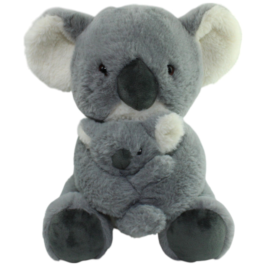 Koala mit Baby im Arm