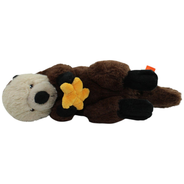 Süßer Otter mit Stern
