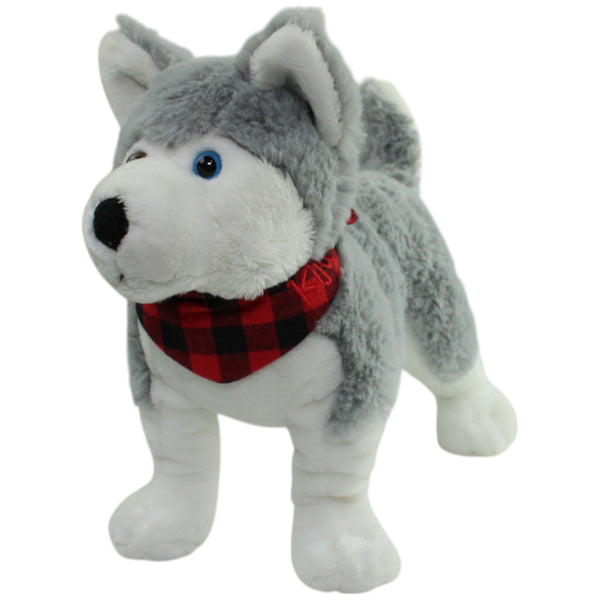 Husky Kiju