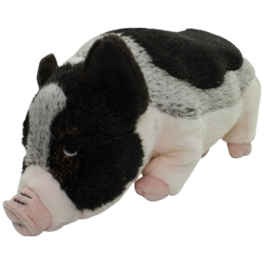 Süßes Hängebauchschwein