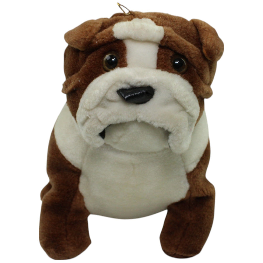 Sitzende Bulldogge, braun-weiß