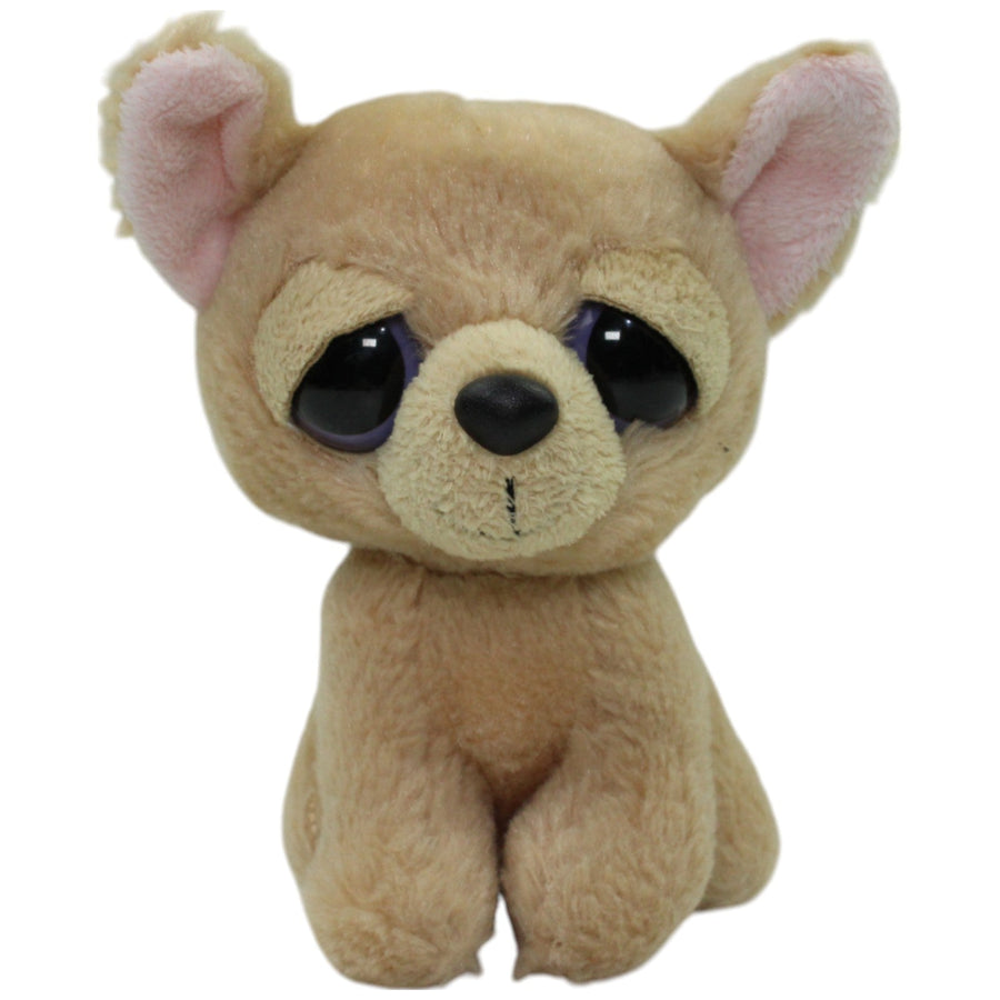 Süßer Chihuahua Welpe