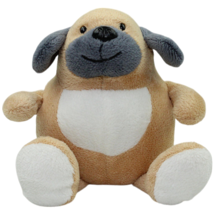 Süßer kleiner dicker Hund
