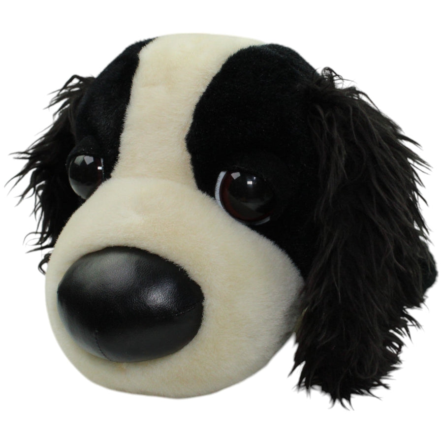 Artlist, Border Collie