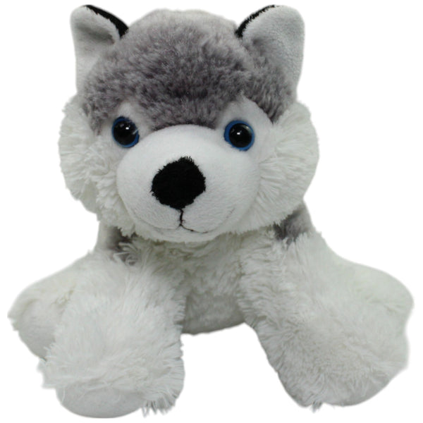 Süßer Husky, sitzend