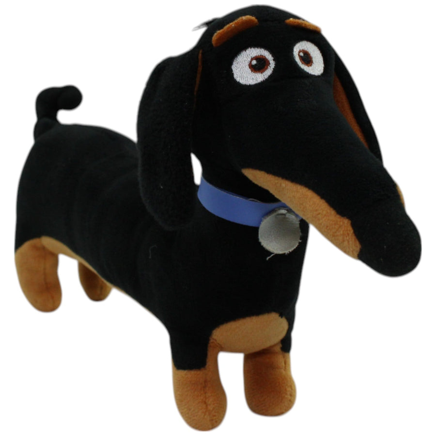 Buddy aus Pets