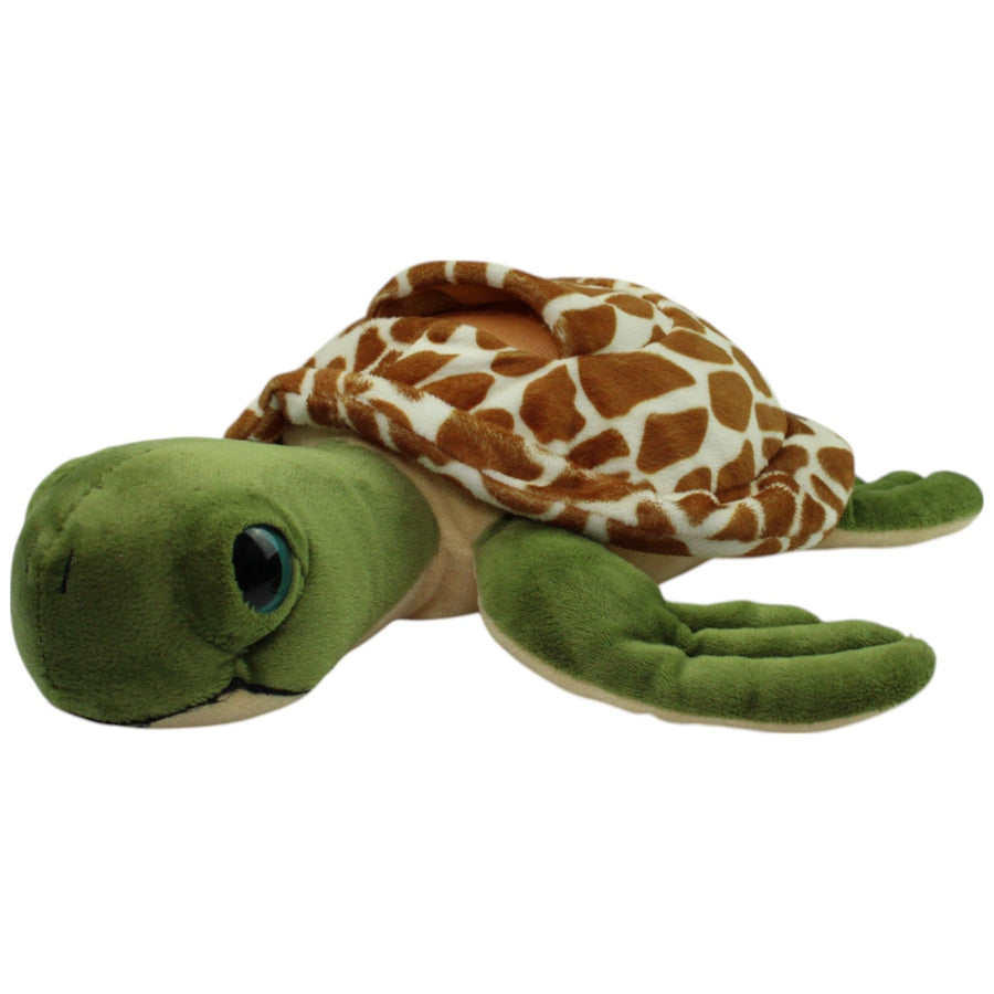 Schildkröte ohne Baby