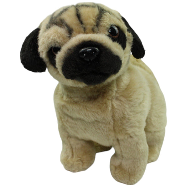 Hübscher Mops, sitzend