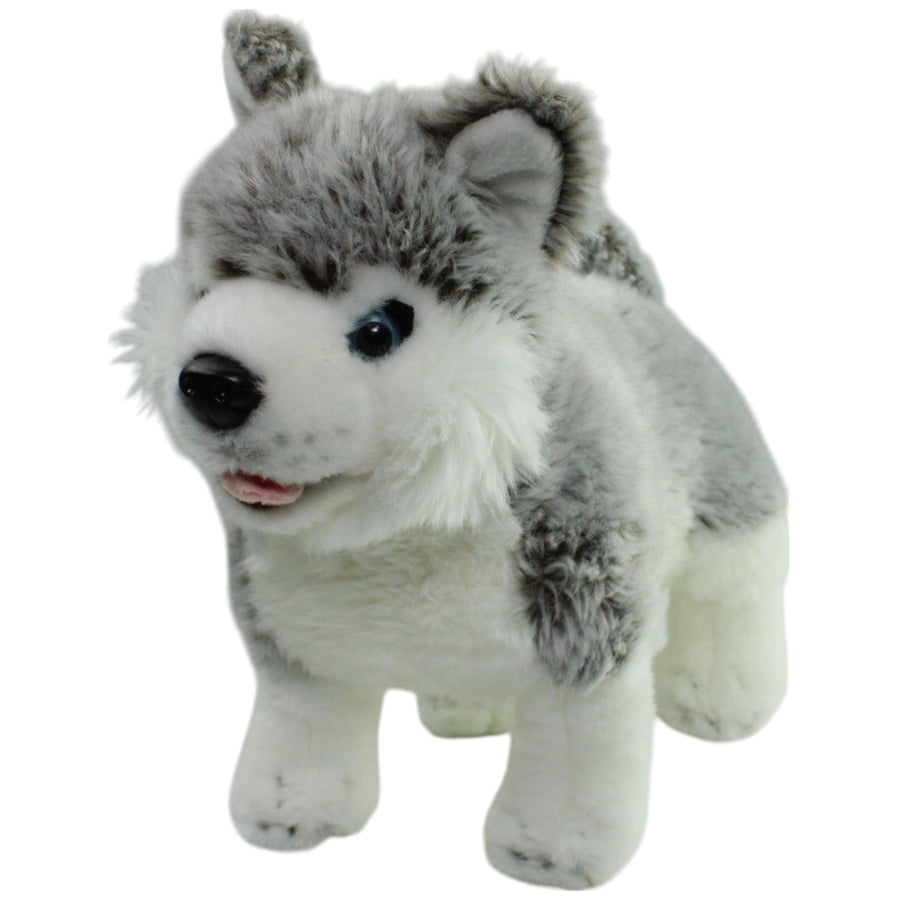 Leosco, stehender hübscher Husky