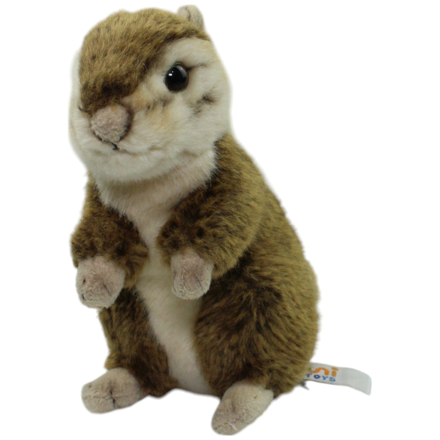 Süßes Streifenhörnchen
