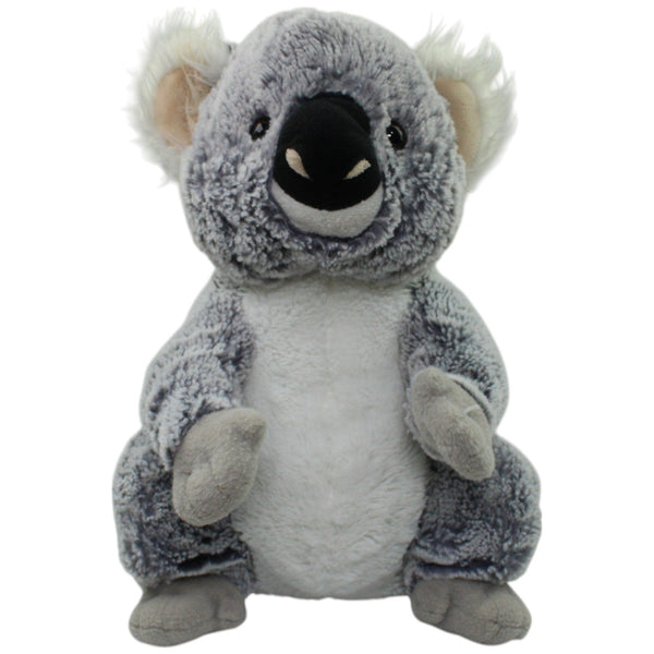 Großer süßer Koala