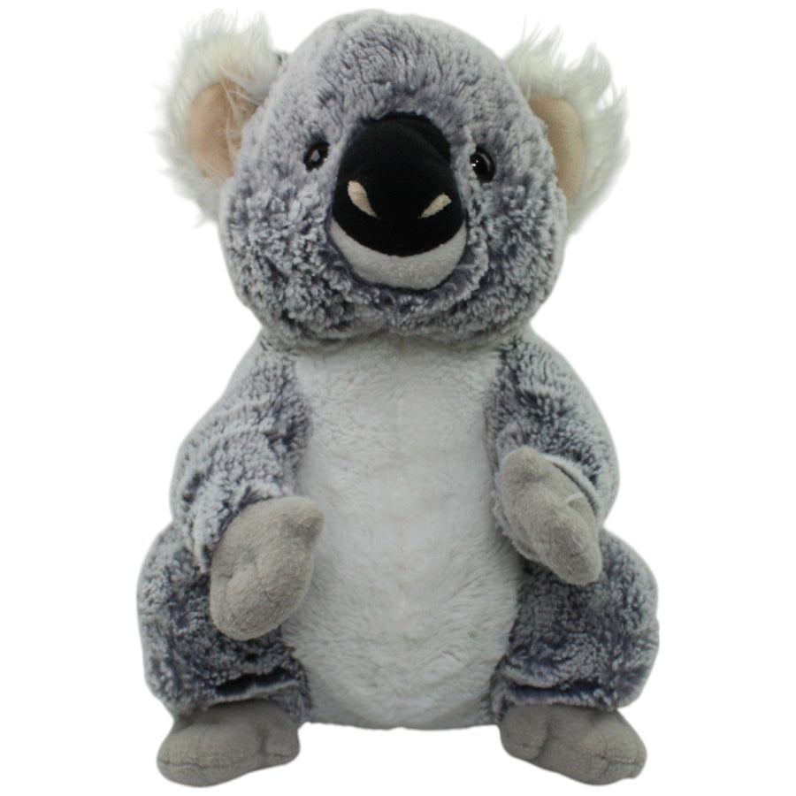 Großer süßer Koala