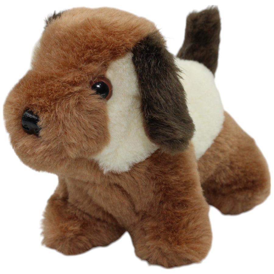 Süßer kleiner Hund