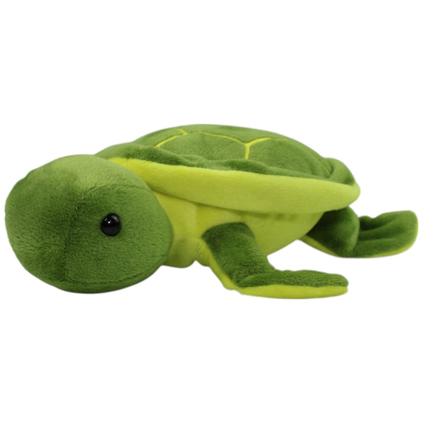 Süße Schildkröte