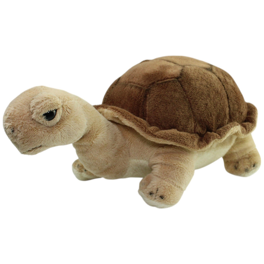Landschildkröte