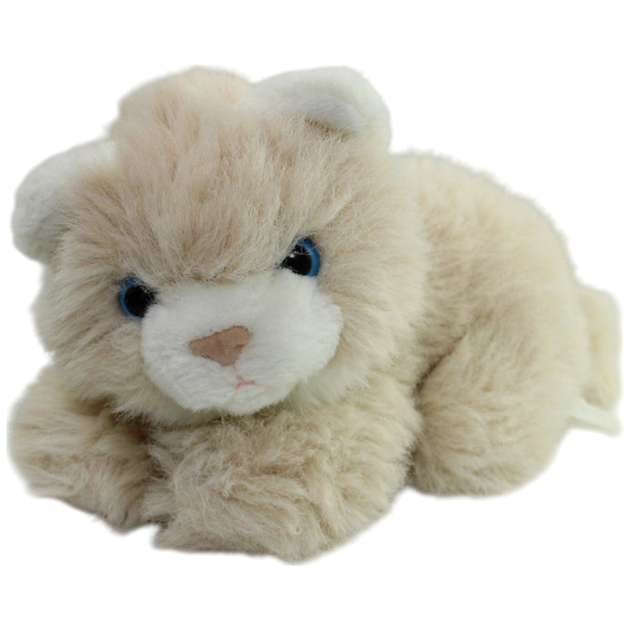Beige Katze mit blauen Augen, liegend