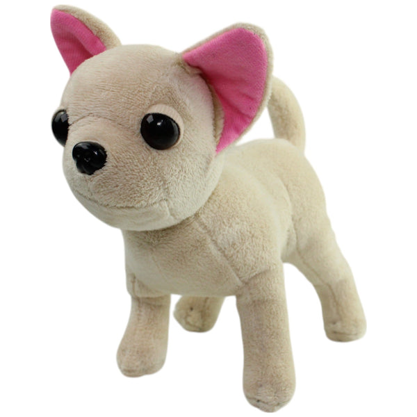 Chi Chi Love, süßer Chihuahua