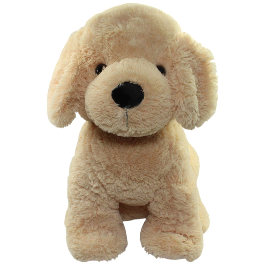 XL Golden Retriever, sitzend