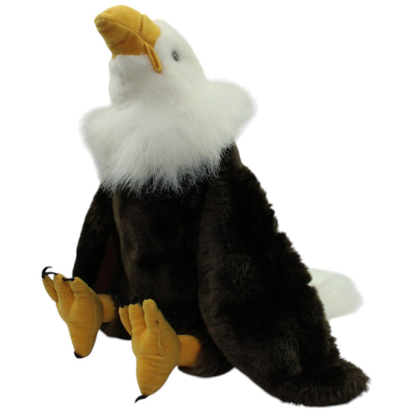 Schöner Weißkopfseeadler