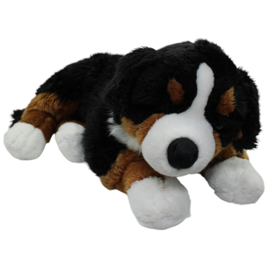 Berner Sennenhund, liegend