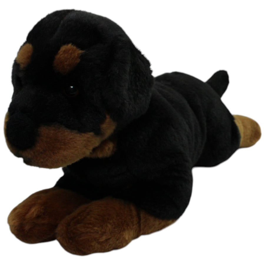 XL Rottweiler
