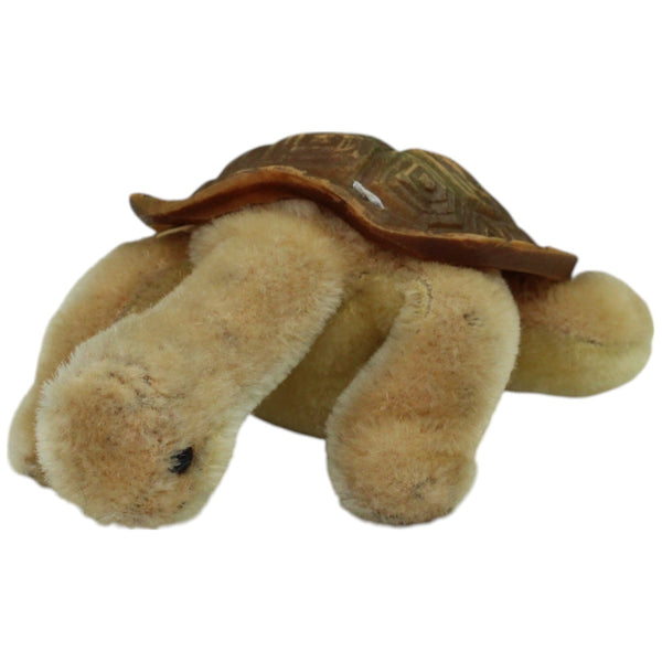 Schildkröte