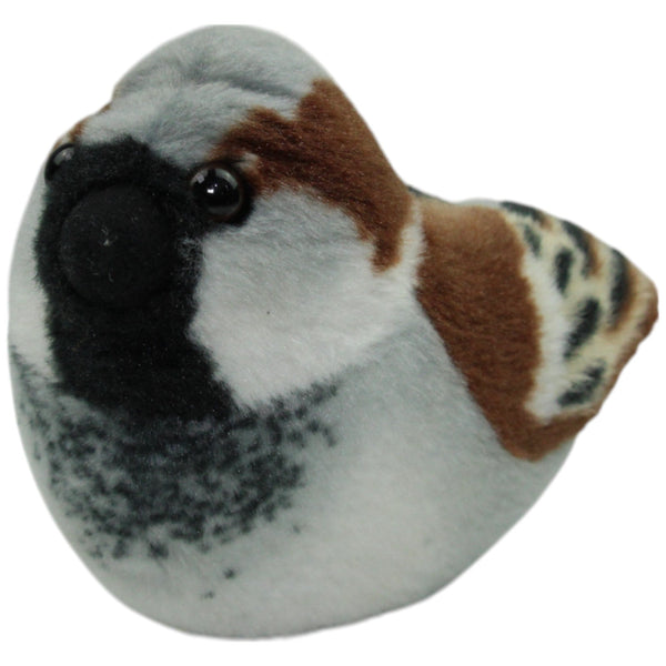 Spatz, braun