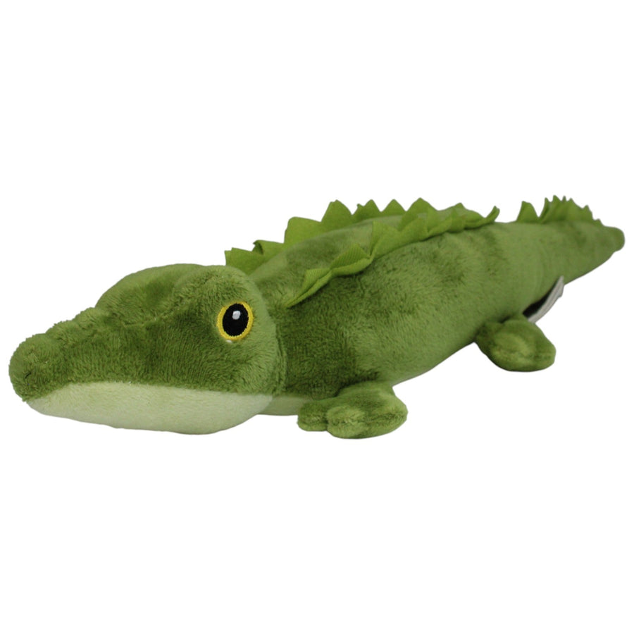 Baby Alligator
