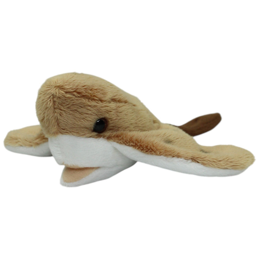 Suma Collection, Kuhnasenrochen