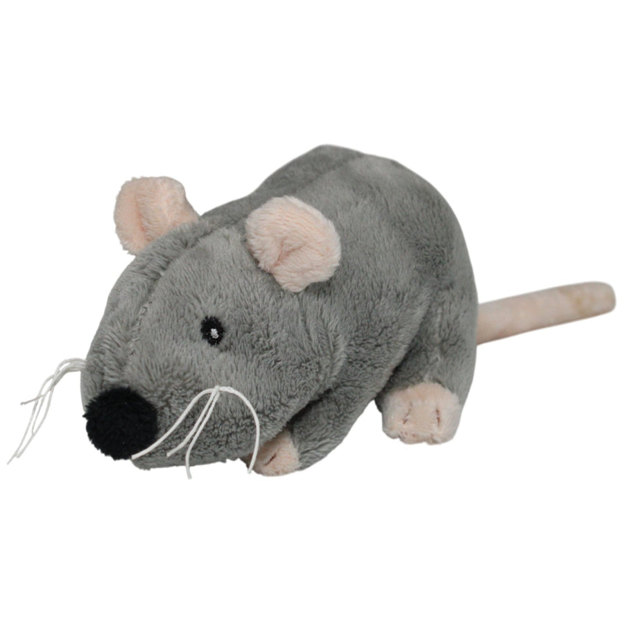 Graue Maus, klein