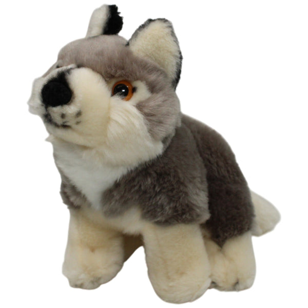 Plan International, Husky