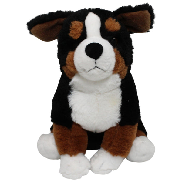 Schöner Berner Sennenhund, sitzend