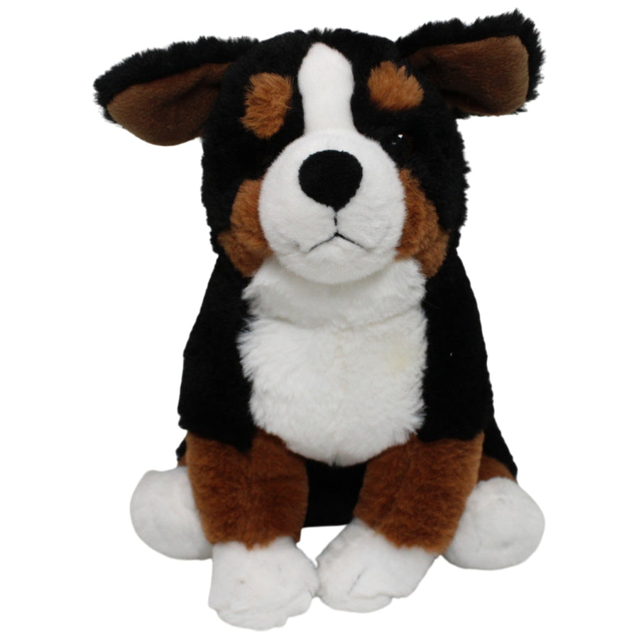 Schöner Berner Sennenhund, sitzend