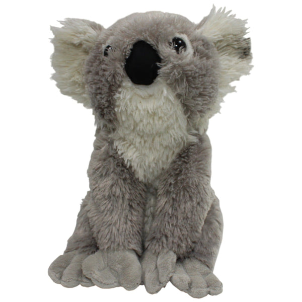 Zotteliger Koala