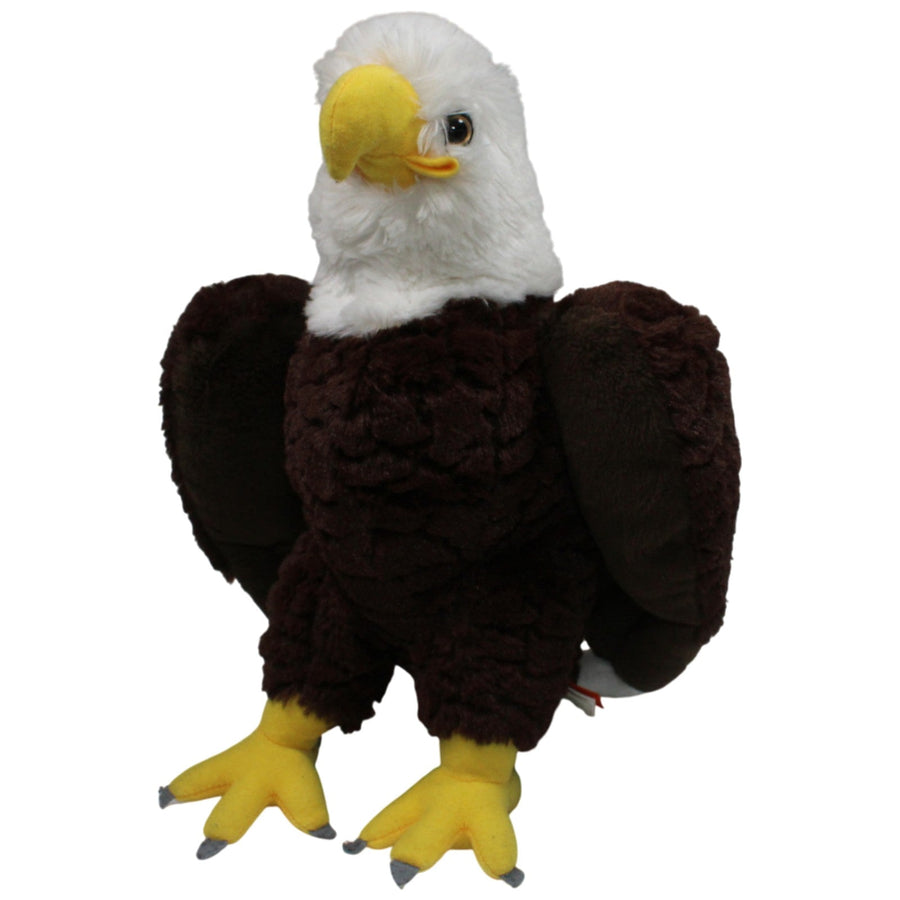 Großer Weißkopfseeadler