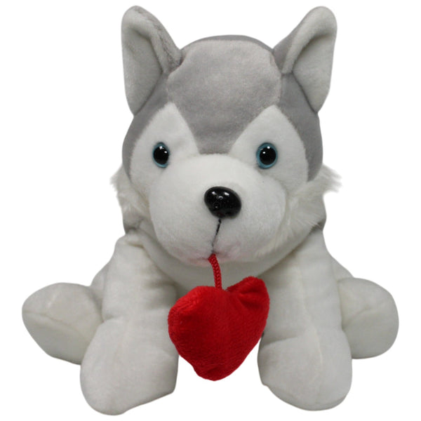 Süßer Husky mit Herz am Mund