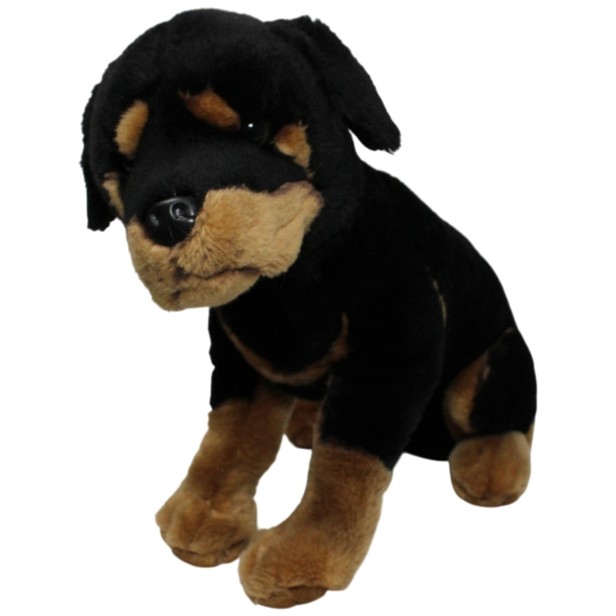 Schöner XL Rottweiler