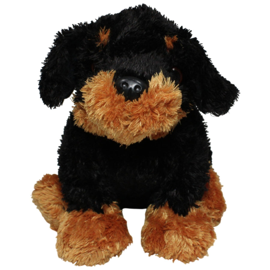 Zotteliger Rottweiler Welpe