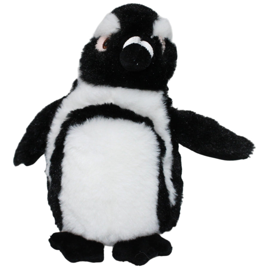 Schwarzfuß Pinguin