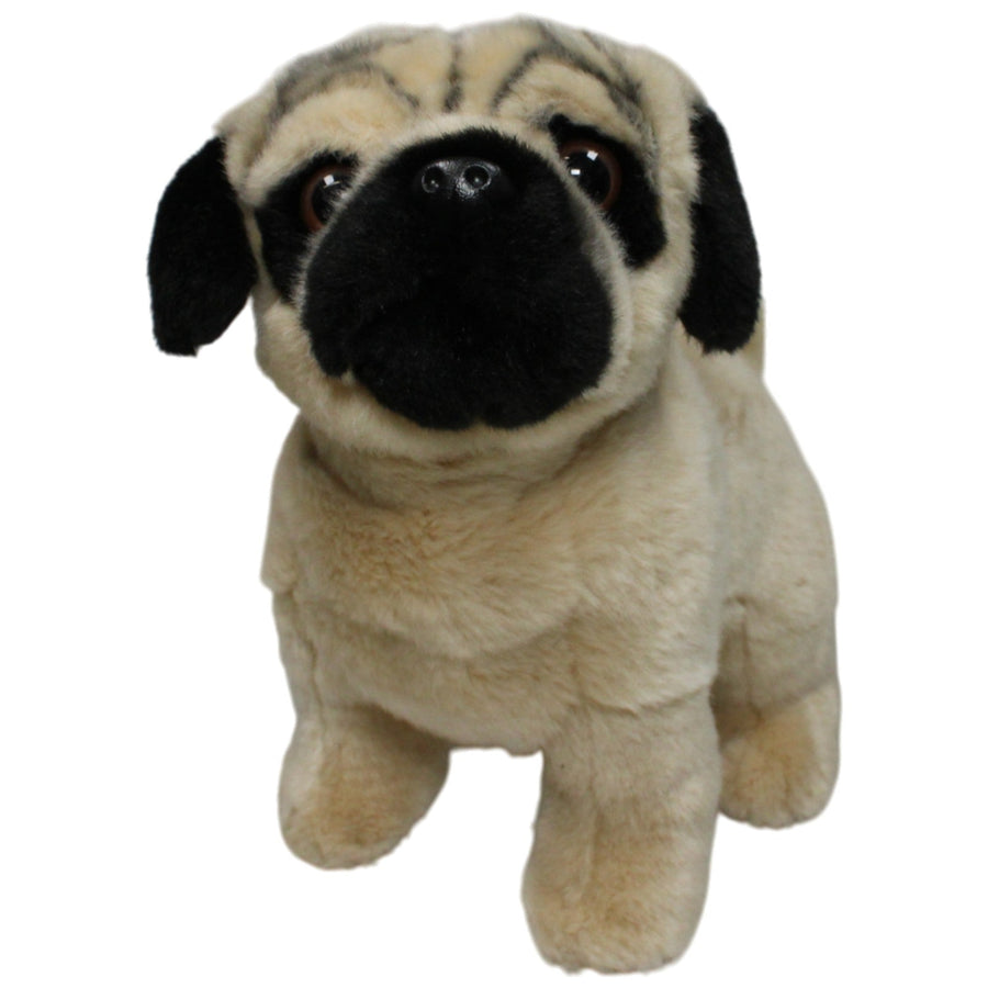 Hübscher Mops, stehend