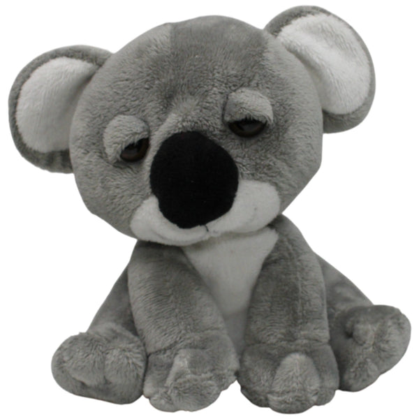 Süßer Koala