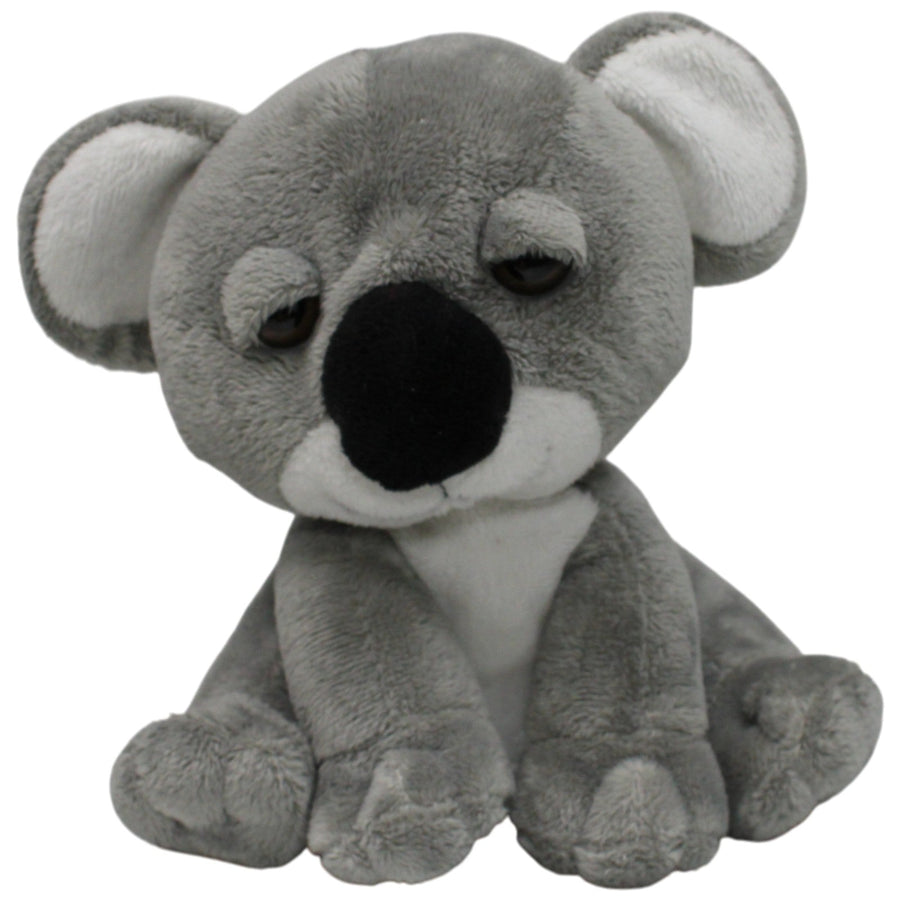 Süßer Koala